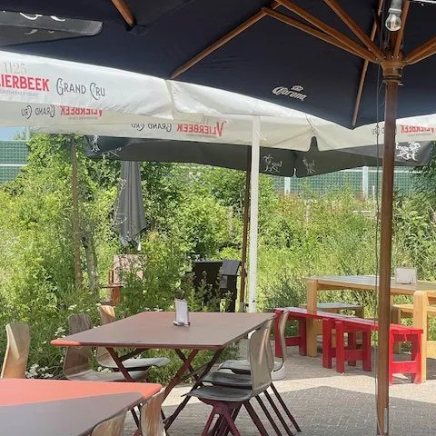 Terras Bar Baron